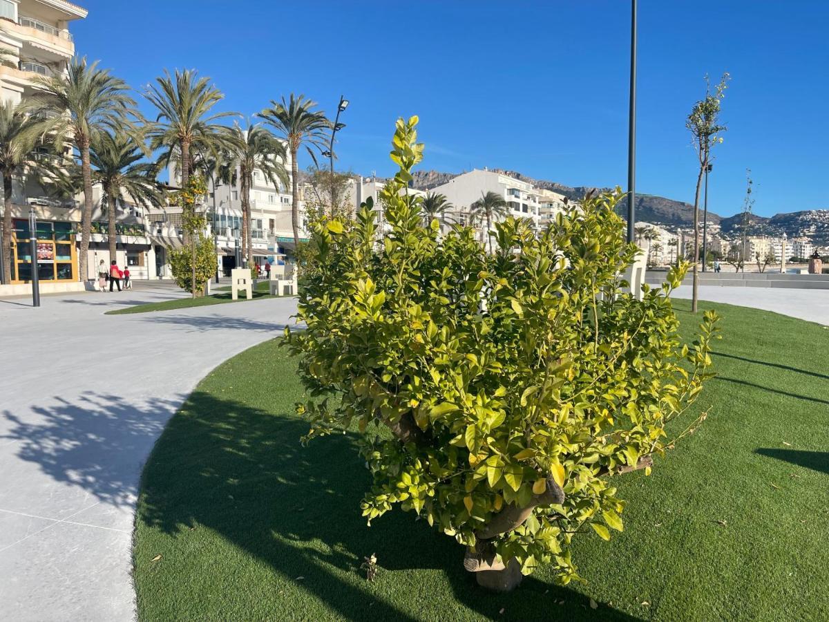 Apartamento Alteagroup Centro מראה חיצוני תמונה